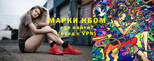 СК Алзамай