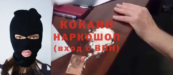 a pvp Коряжма