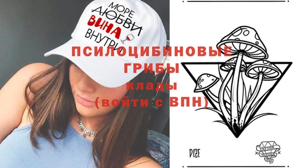 герыч Алексин