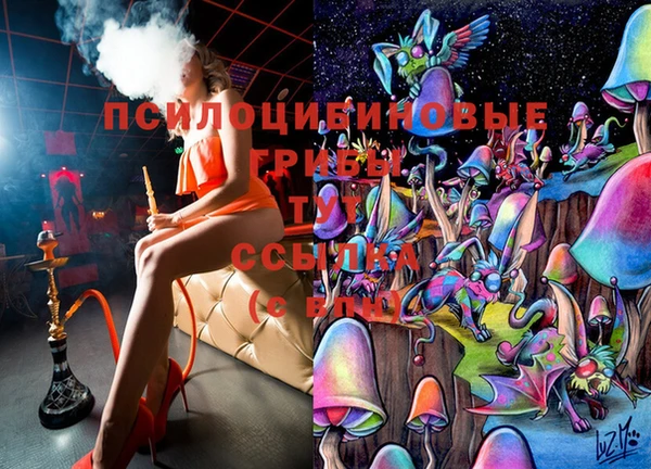 герыч Алексин