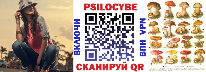 Галлюциногенные грибы MAGIC MUSHROOMS  Гурьевск 